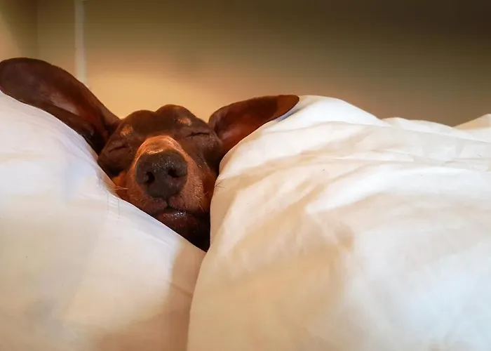 Apartamento Wohnen Auf Zeit Monteurunterkunft & Uebergangswohnungen Hagen (Arnsberg)